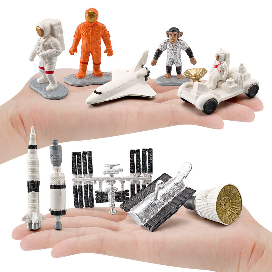 Realistische menschliche Organ – Kids Toys Egypt Bewertung und Preis