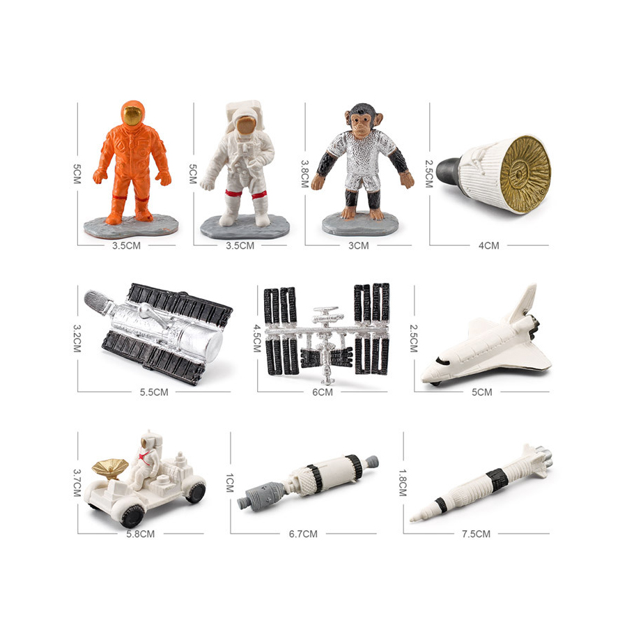 Realistische menschliche Organ – Kids Toys Egypt Bewertung und Preis